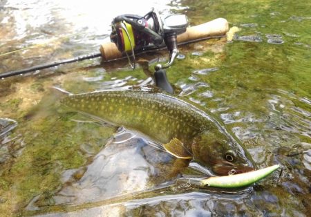 渓流ミノーイング